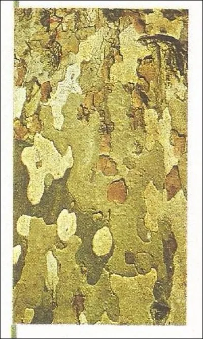 Que représente cette illustration ?