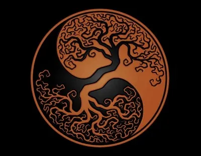 Quel est le nom de ce symbole ?