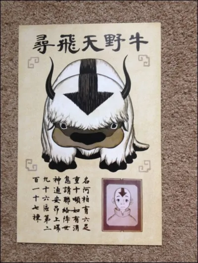 Comment s'appelle son bison volant ?