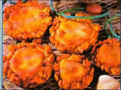 D'où vient la tielle ?