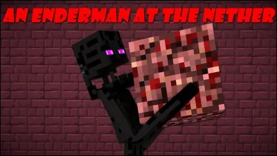Peut-on trouver des Endermen dans le Nether ?