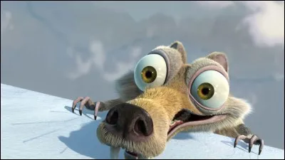 Quel est cet animal ?