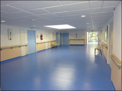 Neuvième étage, dans celui-ci, les patients nécessitant une écoute particulière en vu de leur mal-être psychologique sont pris en charge par une équipe, dont le responsable est un...