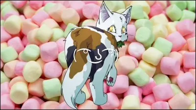 Il ne reste plus qu'une seule proie dans la réserve de gibier. Que faites-vous ?