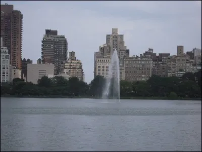 " Dans les rues de Central Park Y a des noirs portoricains 
Qui bingbonguent du steel-band Et puis frappent avec les mains ... Dans la quarante-deuxième rue Y a Ken, Jerry et Sandra Qui vendent avec leur charrette Des bretzels et du coca..." : qui chante "Manhattan", en 1974 ?