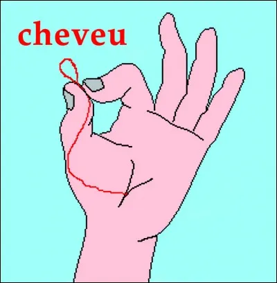 Selon l'expression, si vous faites quelque chose avec un soin excessif, en combien de parties coupez-vous les cheveux ?