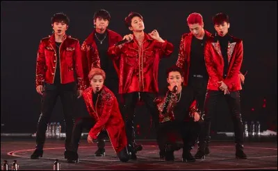 Si tu faisais partie d'un groupe de K-POP, quel r&ocirc;le voudrais-tu avoir ?