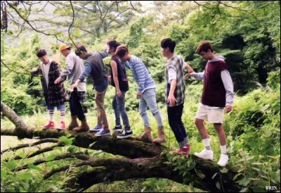 En quelle saison es-tu n&eacute; ?