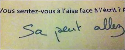 Français : Quelle phrase est bien écrite ?