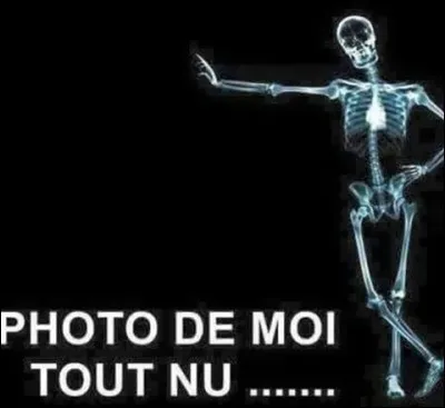 Anatomie : De combien d'os est constitué le corps humain d'un adulte pas cul-de-jatte ?