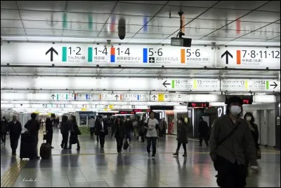 Cette gare est sans l'ombre d'un doute l'une des merveilles de la technologie du monde contemporain. Ici toute l'efficacité nippone est en démonstration et cela à une échelle démesurée, comme on peut le voir à Tokyo. Quotidiennement, cette gare voit passer 3,8 millions de voyageurs. Où est-on ?
