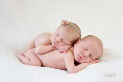 Aimes-tu cette photo ?