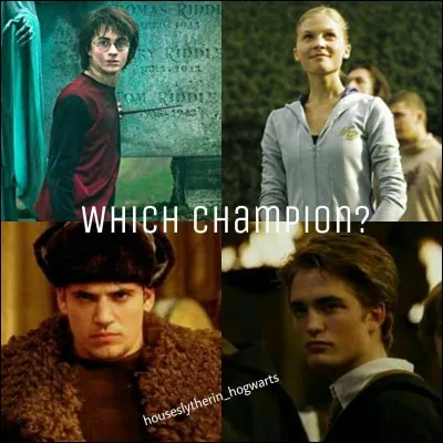 Quelles sont les écoles de magie qui ont participé au tournoi des trois sorciers ?