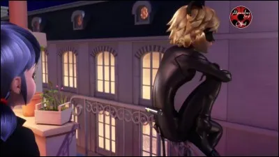 Combien de fois ladybug utilise la ceinture de chat noir dans la saison 2 ?