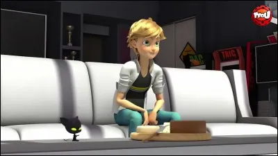 Dans l'épisode de l'insaisissable, avant que Chat Noir n'intervienne Plagg lui avait demandé de lui rapporter de la pâtisserie des du pain-chengs...