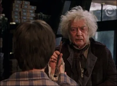 10 ans plus tard Harry apprend qu'il est un sorcier et s'en va acheter ses fournitures scolaires pour pouvoir étudier à Poudlard, l'école des sorciers. De quoi est composée la baguette qu'achète Harry chez Ollivander ?