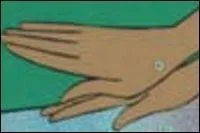 A qui appartient cette main ?