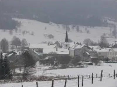 Voici une vue de Gerbépal (Vosges) sous la neige. Quel est le gentilé des habitants de cette commune ?