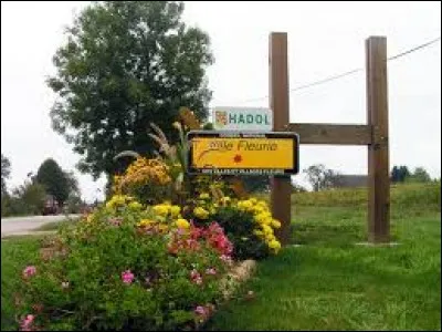 À Hadol (Vosges), les habitants portent le gentilé ...