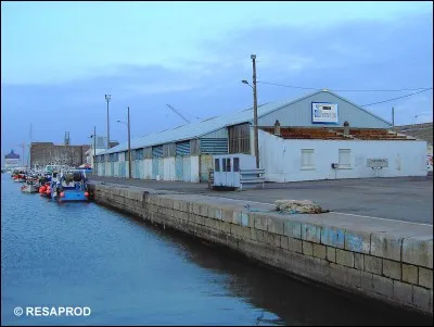 À quoi servait "la criée" ?