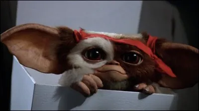 Lors de quel événement Billy va-t-il recevoir le mogwaï ?