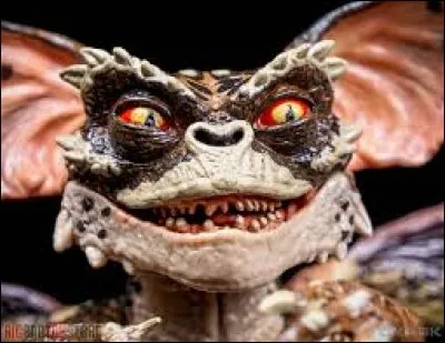 Quelles sont les trois règles a respecter si tu veux que le mogwaï ne se transforme pas en gremlin ?