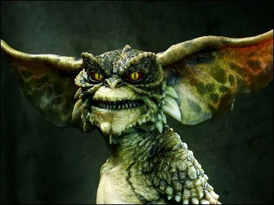 Après quelle heure ne faut-il surtout pas donner à manger au mogwaï ?