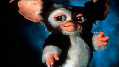 Que se passe-t-il si on expose le mogwaï à la lumière du soleil ?