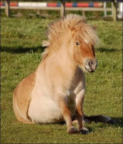 Quel est l'intrus dans les aides naturelles ?