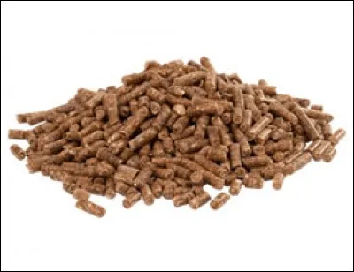 Que faire si l'on voit un poney qui n'a pas mangé sa ration de granulés ?