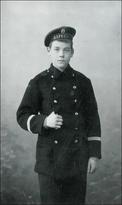 Quel lien Michel Alexandrovitch de Russie avait-il avec Nicolas II ?