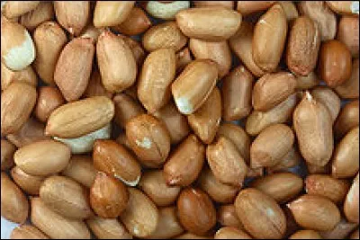 Hmmm Le bon goût et le croquant des cacahuètes vont renforcer la saveur de ma sauce. Vite, au jardin, je vais...