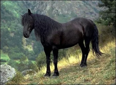 Quelle est cette robe ?