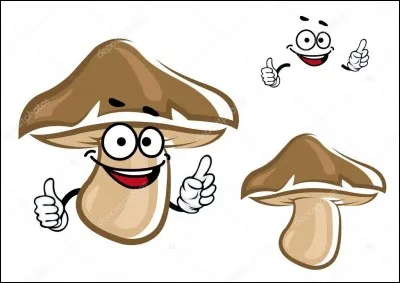 C'est le pied d'un bolet comestible !