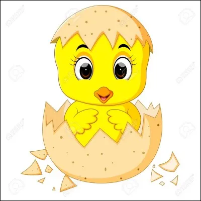 Quelle partie de l'uf utilisez-vous pour monter une mayonnaise ?