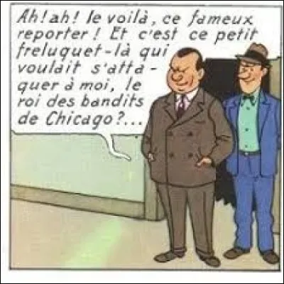 Le plus célèbre des gangsters du XXe siècle, Al Capone est le seul personnage à apparaître sous son vrai nom et dans son propre rôle. On le voit dans ...