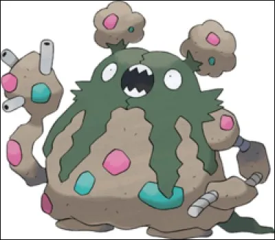 Quel est le type de ce Pokémon ?