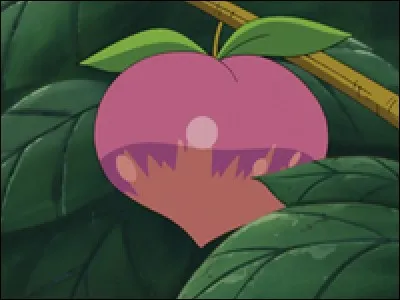 Quelle est la baie ci-dessus ?