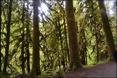Quelle est la ville où se passe le film ?