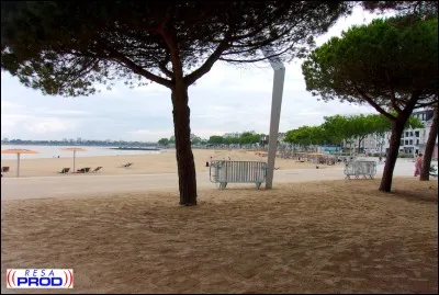 Qu'y avait-il à la place des pins près de la place du commando ?