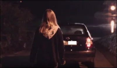 Quelle est la fin de l'immatriculation du véhicule dans lequel Mme Bosc est enfermée ?