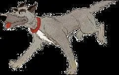 Qui est ce chien, que l'on voit dans 'Rox et Rouky' ?