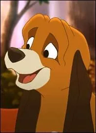 Qui est ce chien, ami de Rox ?