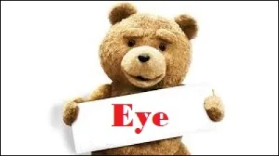 Quel animal Ted est-il dans le film ?