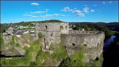 A les yeux brillants, c'est le...