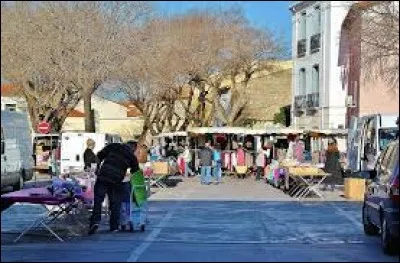 Je vous propose de faire notre march&eacute; &agrave; Saint-Laurent-de-la-Salanque. Ville d'Occitanie, dans la m&eacute;tropole Perpignanaise, elle se situe dans le d&eacute;partement ...