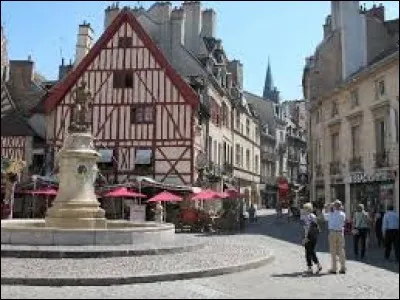 Pouvez-vous me donner le gentilé des habitants de Dijon (Côte-d'Or), ville connue entre autres pour sa moutarde ?