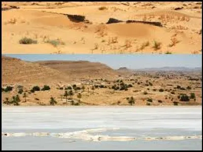 Un reg est un désert de ...