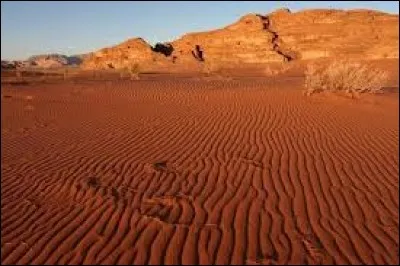 Quel petit chien de race est originaire d'un désert qui lui a d'ailleurs donné son nom ?