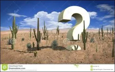 "Azalaï" est le nom que l'on donne :